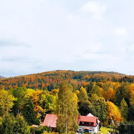 Semesteranläggning (resort) Koralowa Sciezka