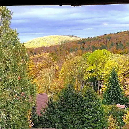 Koralowa Sciezka