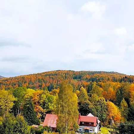 Koralowa Sciezka *