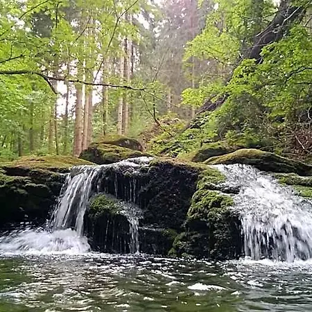 Koralowa Sciezka 리조트