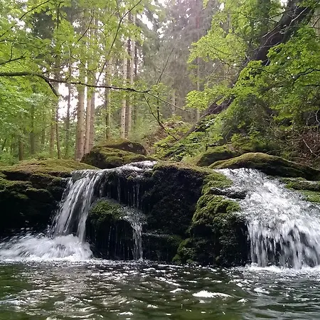 Koralowa Sciezka * Jagniątków