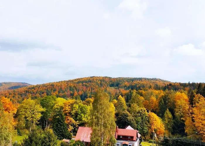 Station touristique Koralowa Sciezka