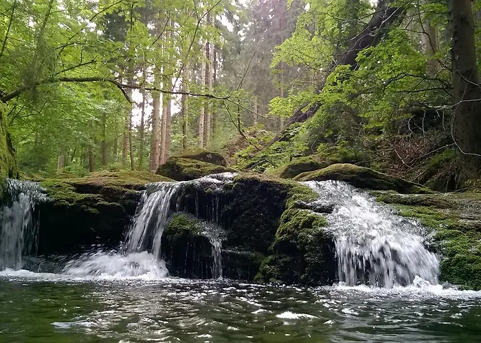 Koralowa Sciezka * Jagniątków